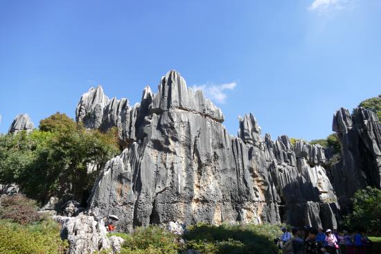 Grand Stone Forest