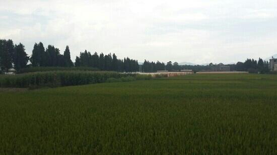 Qingshui Vacation Village