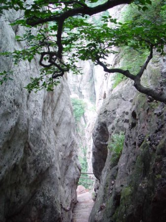 Luya Waterfall Scenic Area