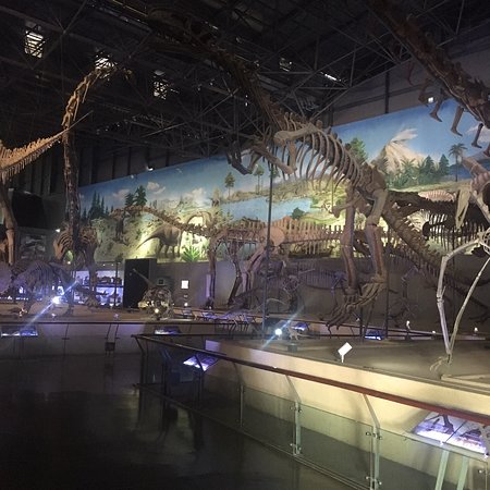 Dinosaur Egg Fossil Museum