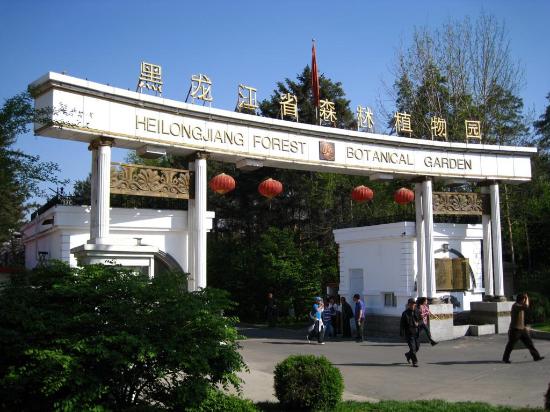 Harbin Forest Park