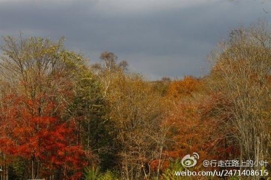 Outdoor Pictures 1