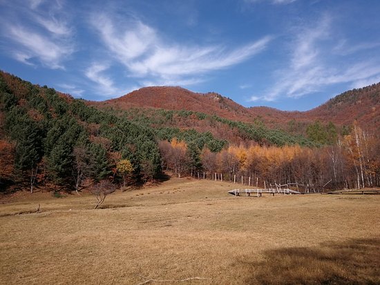 Jinshan Deer Park