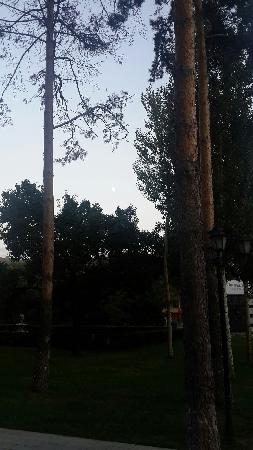 Xiaoxing'anling Forest