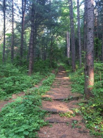 Xing'an Forest Park