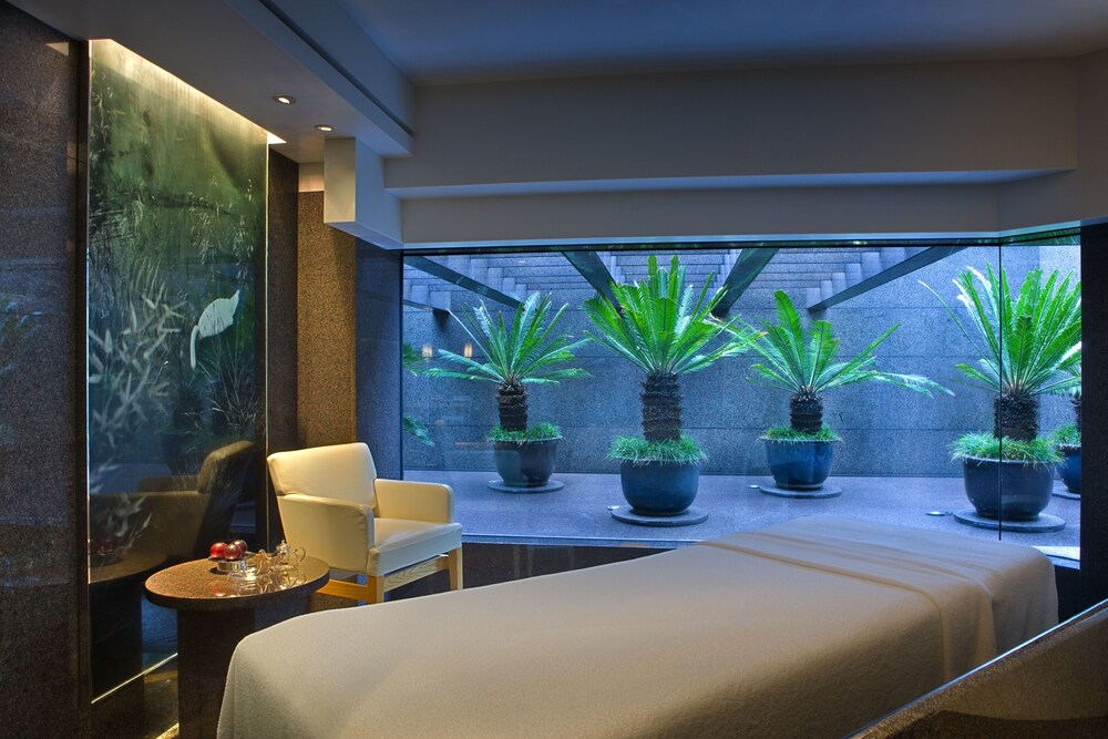 Plateau Spa (Grand Hyatt Hong Kong)