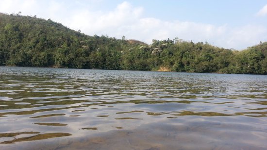 Beilun Estuary Nature Reserve