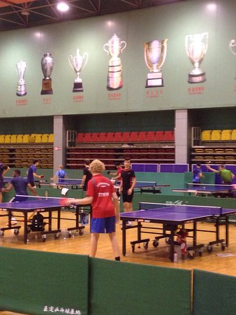 Table tennis Training Base