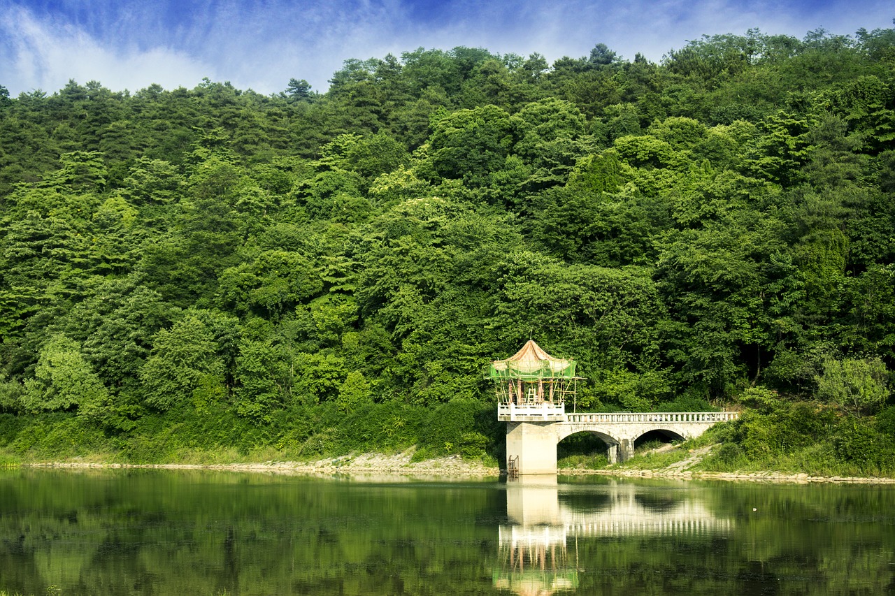 Guizhou Forest Park
