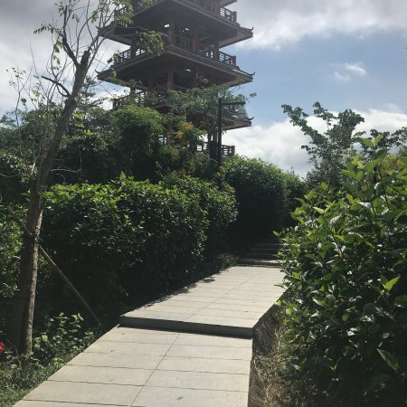 Lin Chun Ling Forest Park