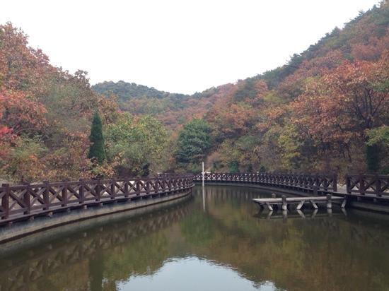 Dalian West Forest Park