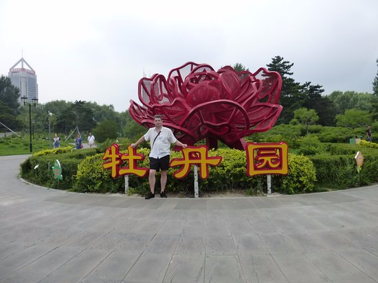 Peony Garden
