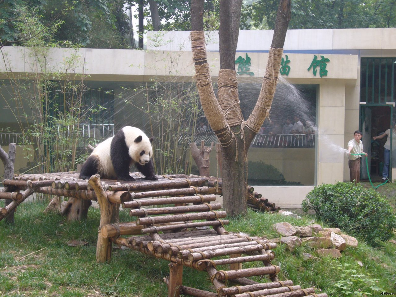 Wuxi Zoo