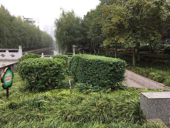 Qianjiang Forest Park