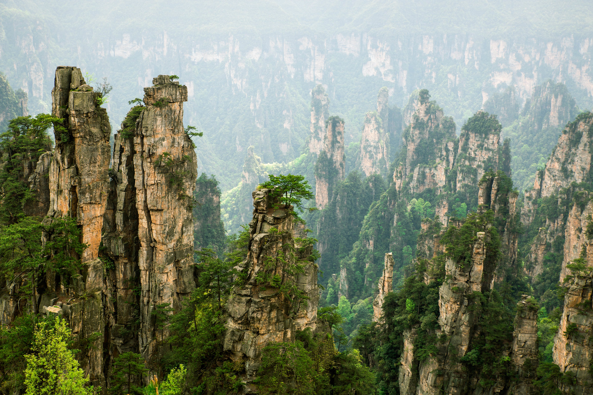 Zhangjiajie Qian Gu Qingjing Qu