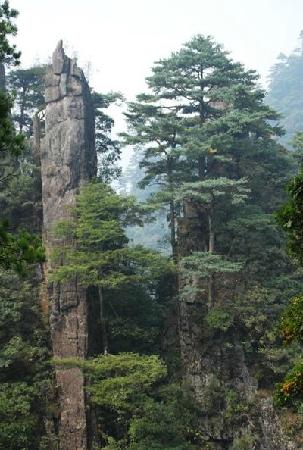 Tian'eshan National Forest Park