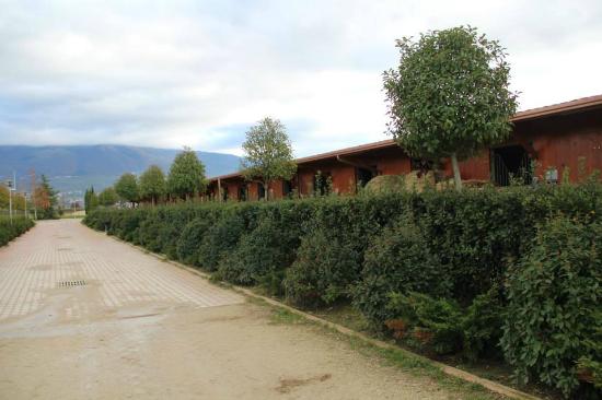 Le Lame - Horses Sporting Club
