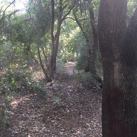 Oasi Bosco di Palo