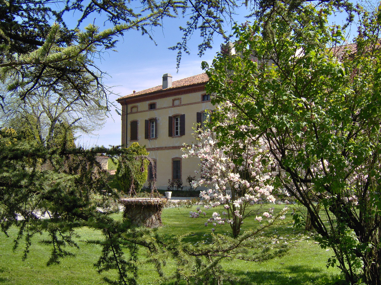 BAR VIRGILIO