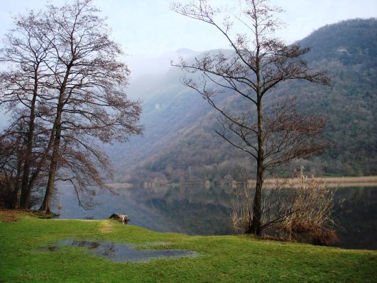 Parco Lago Segrino