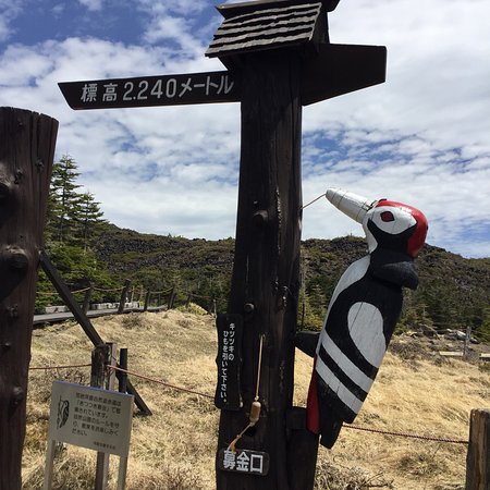 Kitayatsugatake Rope Way