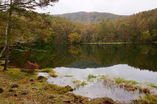Mishakaike Pond