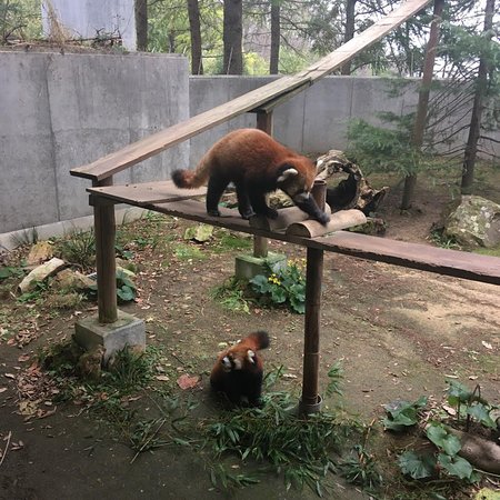 Ishikawa Zoo