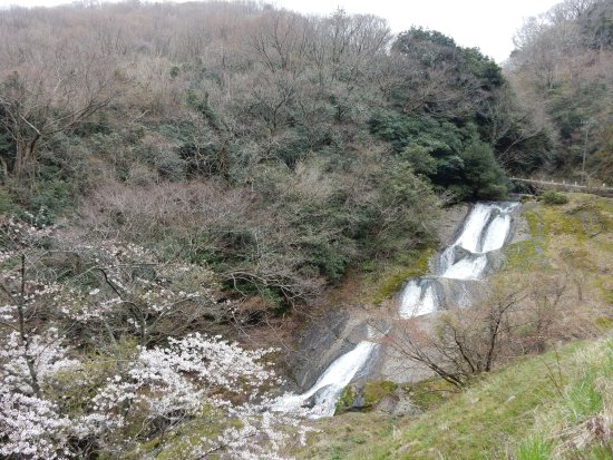 Name Falls