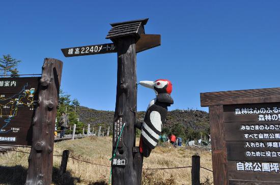 Tsuboniwa Nature Park