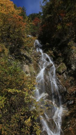 Tori Falls