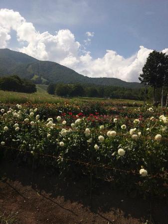 Kurohime Highland