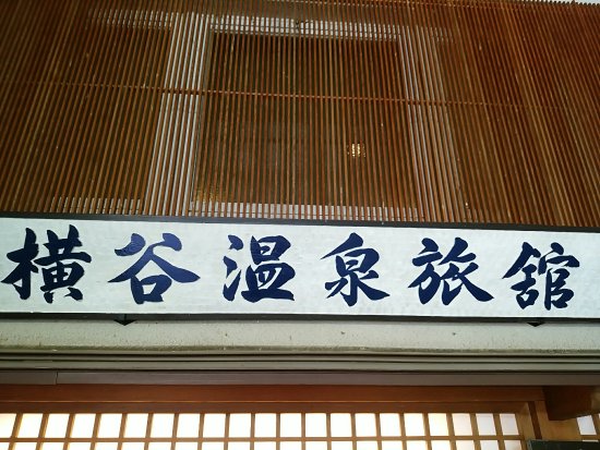 Yokoyaonsen Ryokan Higaeri Onsen