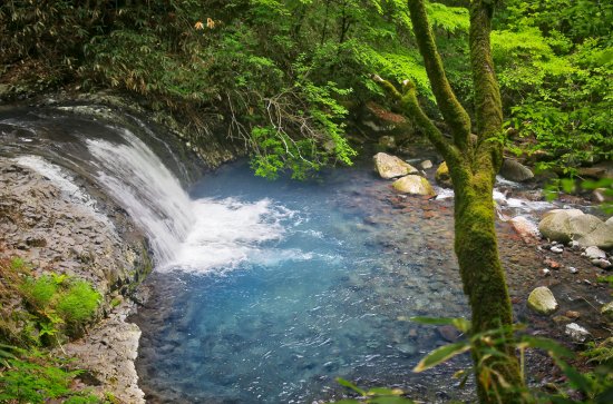 Komorebi Falls