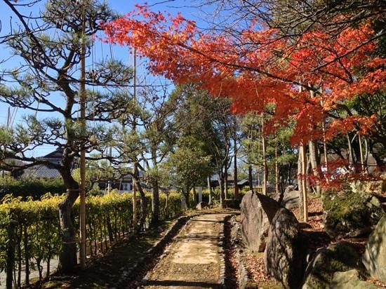 Murasakishikibu Park