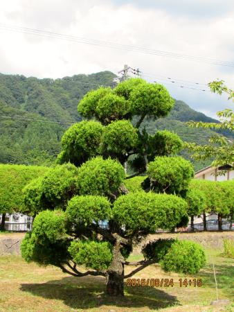 Echizen no Sato Ajimanoen