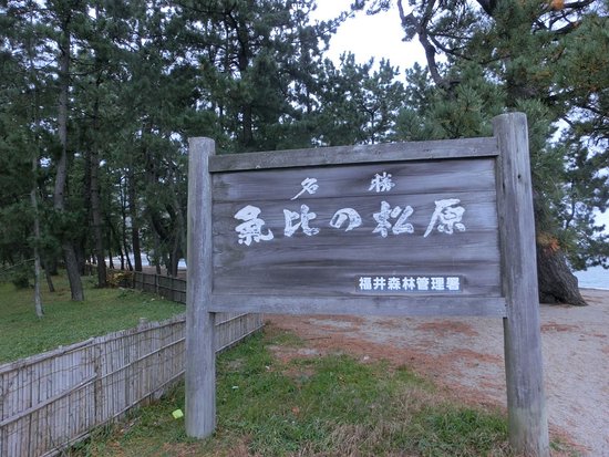Kehi no Matsubara