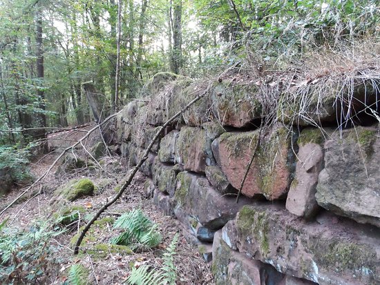 Römische Höhensiedlung Großer Berg