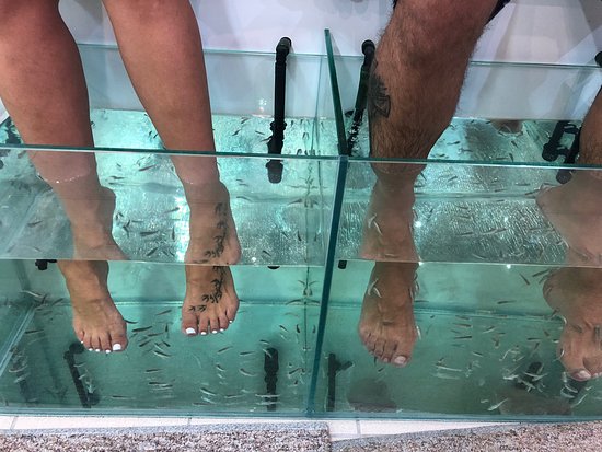 Fish Spa Blue