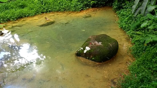 River Sallee Sulfur Springs