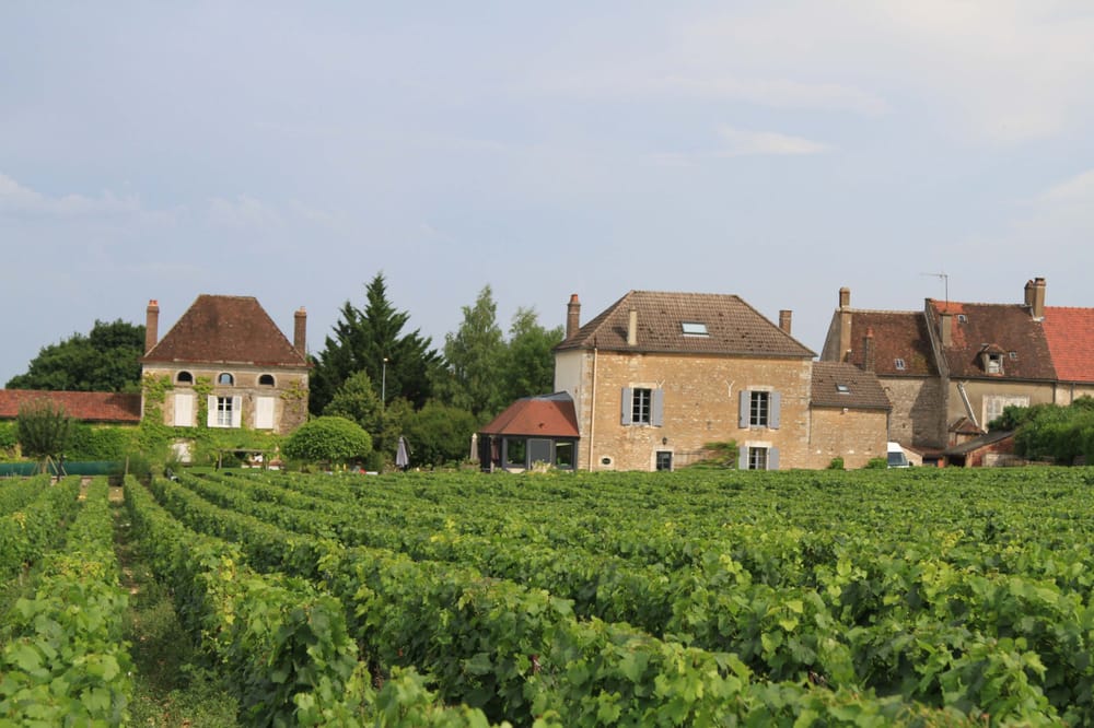 Domaine Céline & Frédéric Gueguen