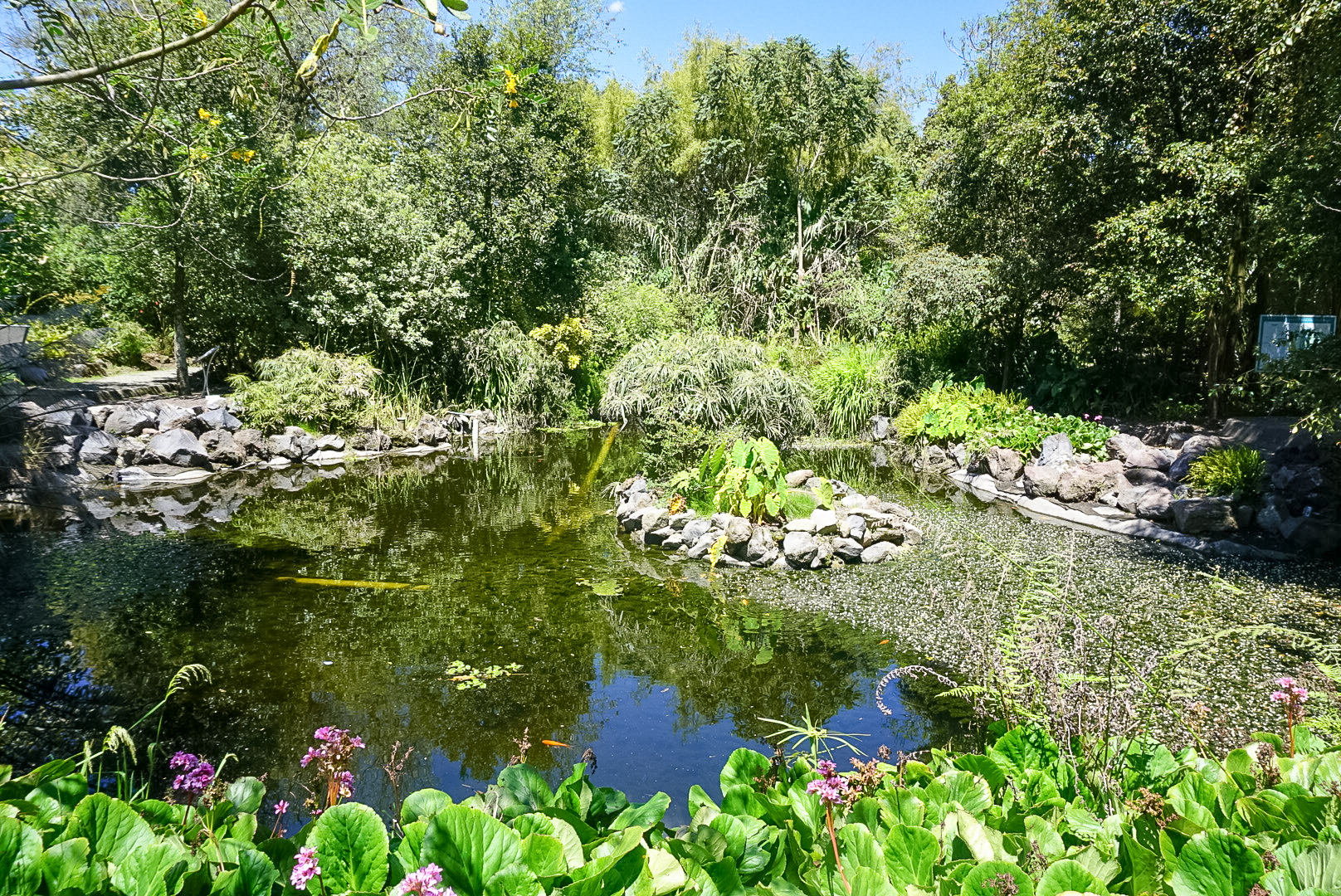 Jardín Botánico de Quito