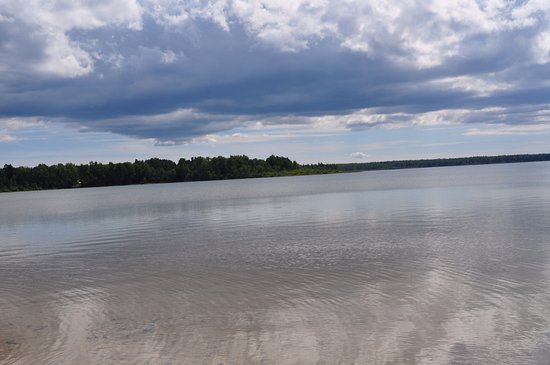 Karujarv