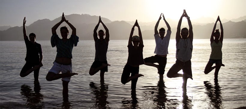 Discover Your Depths Yoga, Meditation & Freediving