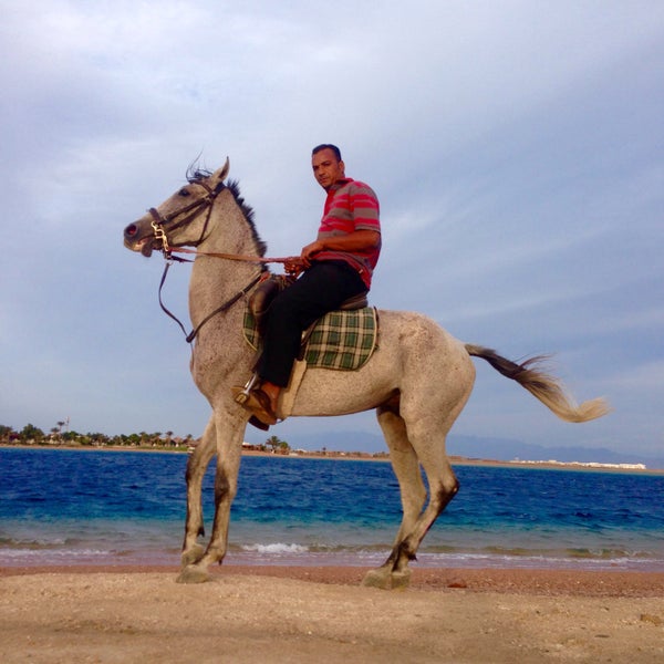 Horseriding Dahab