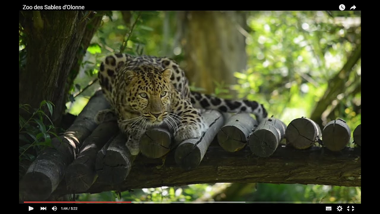 Zoo des Sables