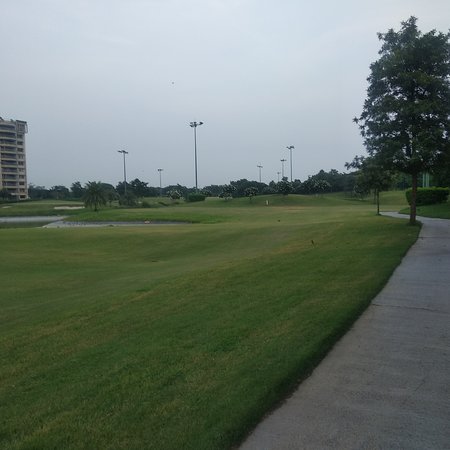 Ambience Golf Greens