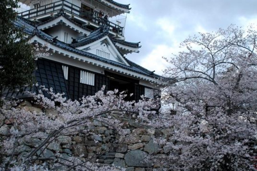 Shizuoka castle
