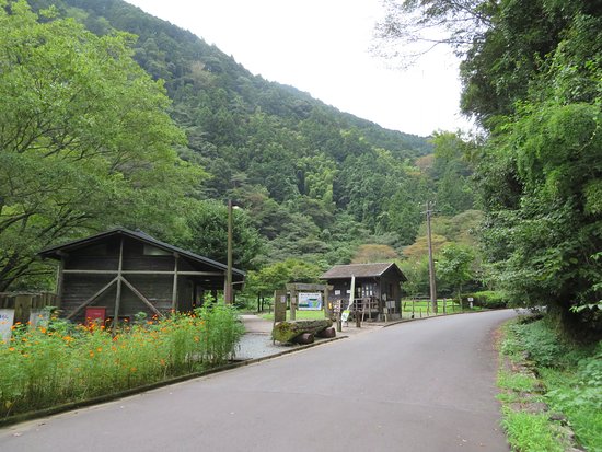 Shimizu Forest Park Yasuragino Mori