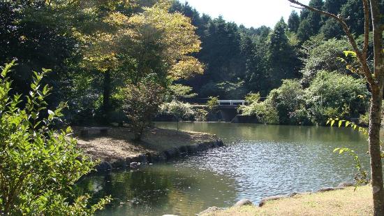 Outdoor Pictures 1