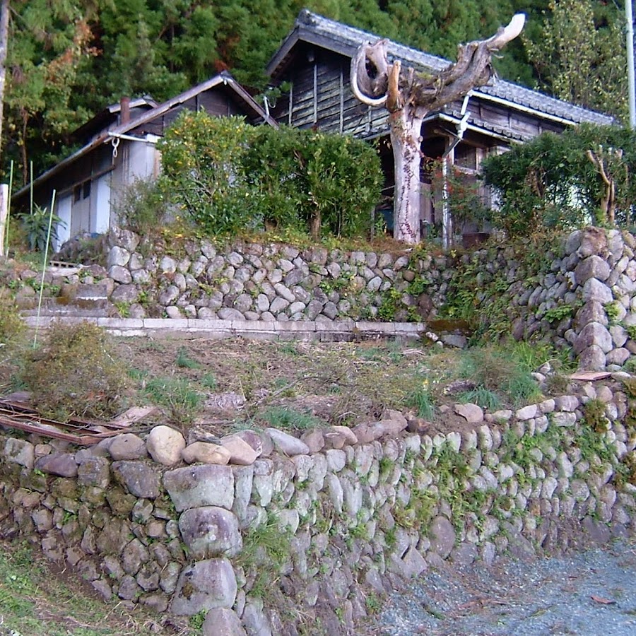 Outdoor Pictures 1